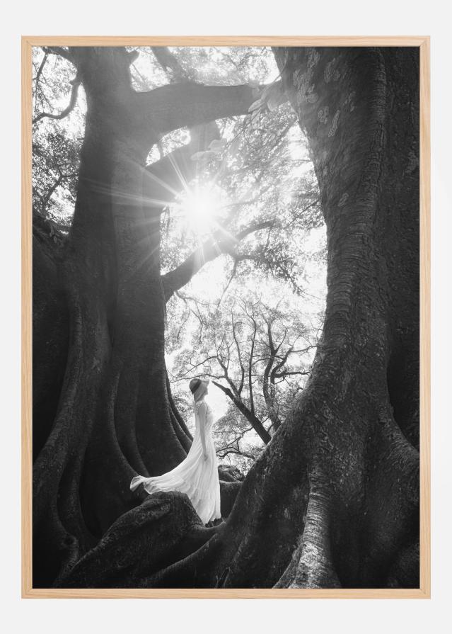 The Daughter Of Trees Plakát