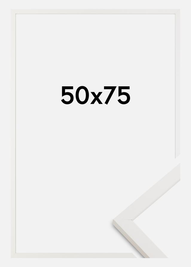 Rám Trendy Akrylové sklo Vit 50x75 cm