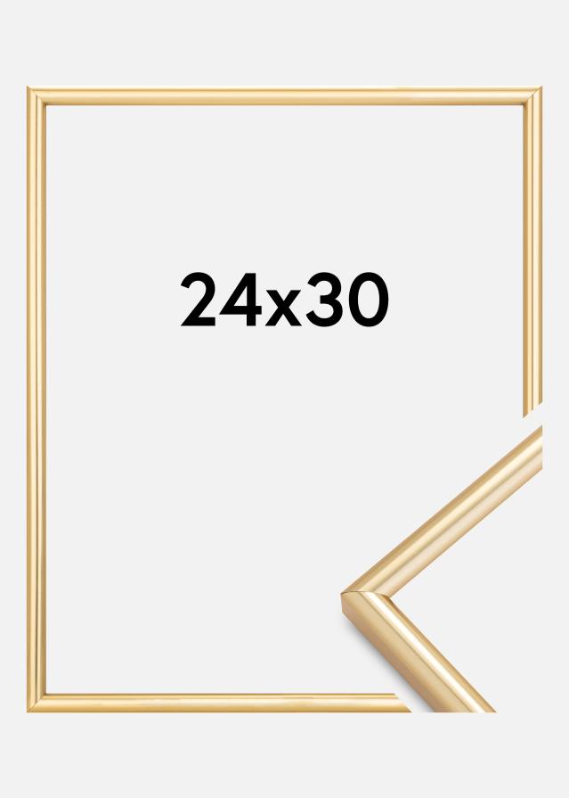 Rám Galeria Zlatá 24x30 cm