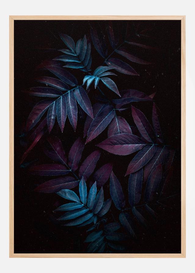 Autum Leaves Plakát