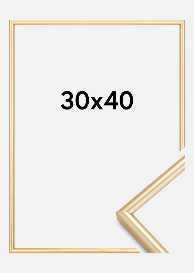 Rám Galeria Zlatá 30x40 cm