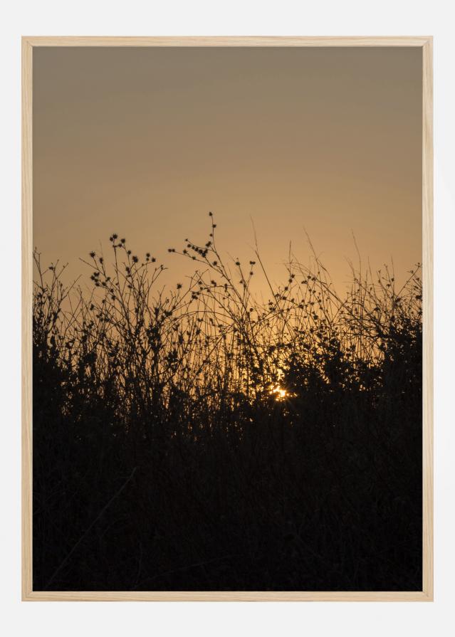 Sneak Peak On Sun Plakát