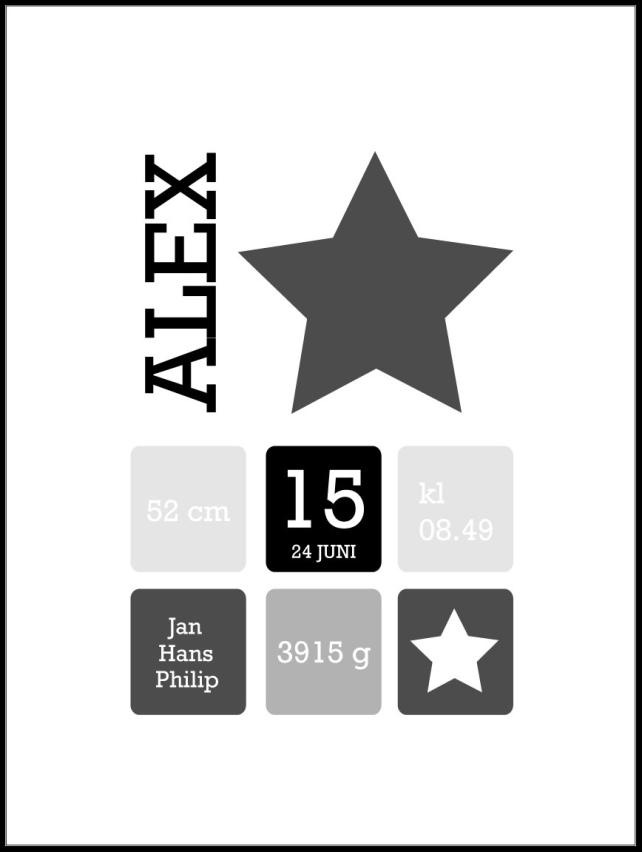Star Birth Plakát Grey