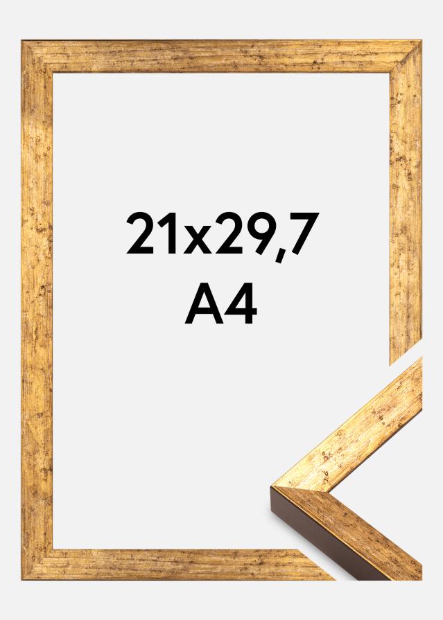 Rám Dune Akrylglas Zlato 21x29,7 cm (A4)