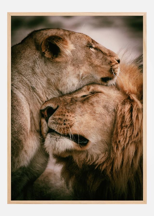 What Is Love Plakát