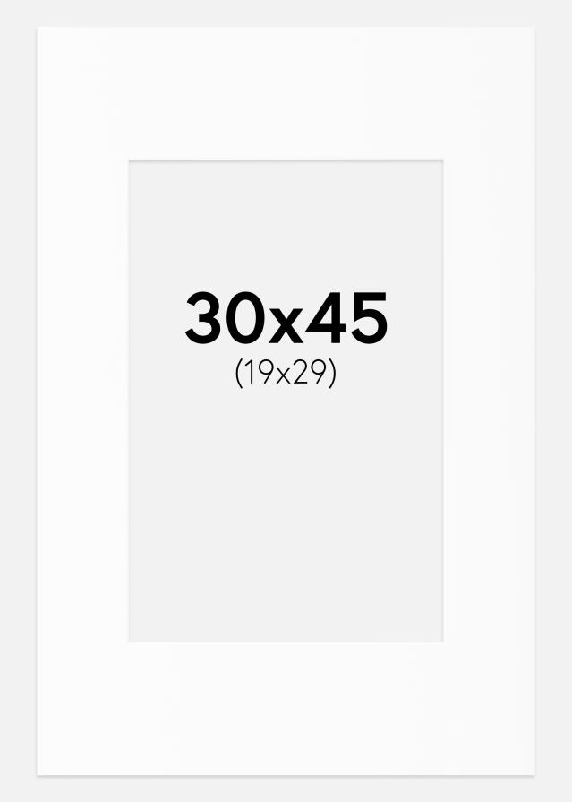 Pasparta Bílá Standardní Bílý stred 30x45 cm (19x29)
