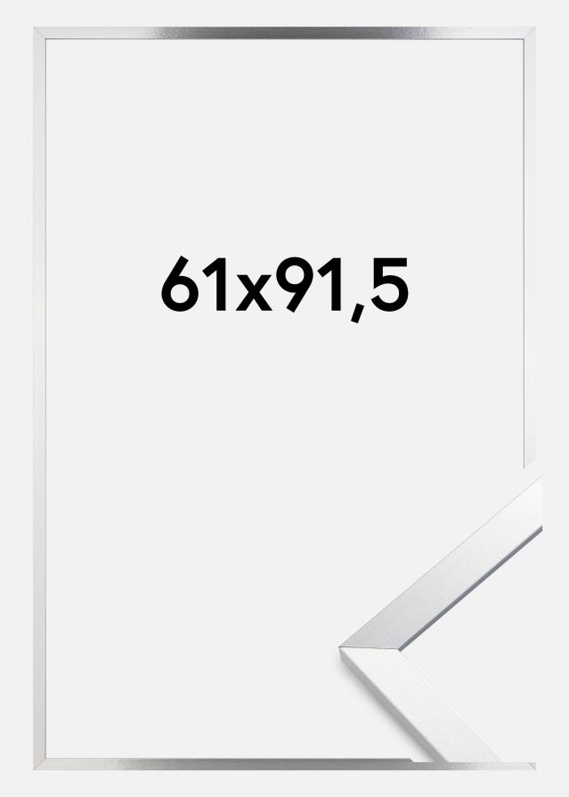 Rám Trendy Akrylové sklo Stříbro 61x91,5 cm