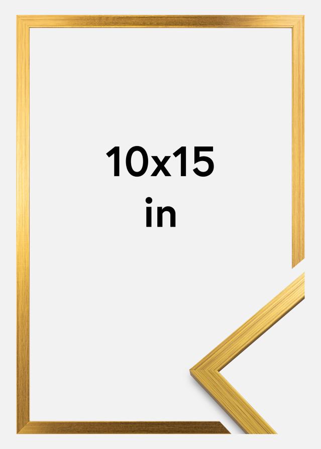 Rám Edsbyn Akrylové sklo Zlatá 10x15 inches (25,4x38,1 cm)