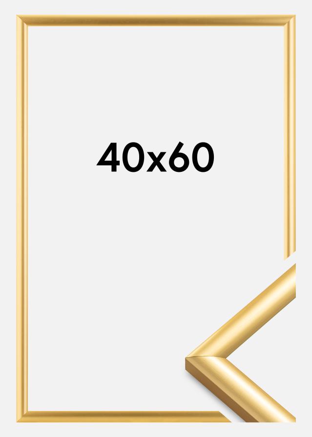 Rám Trendstyle Zlatá 40x60 cm