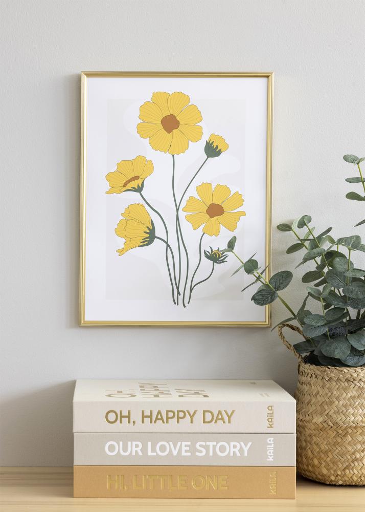 Rám Hipster Akrylové sklo Zlatá 70x100 cm