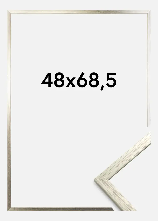 Rám Edsbyn Akrylové sklo Stríbrná 48x68,5 cm