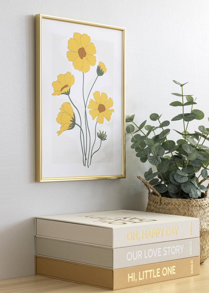 Rám Hipster Akrylové sklo Zlatá 70x100 cm