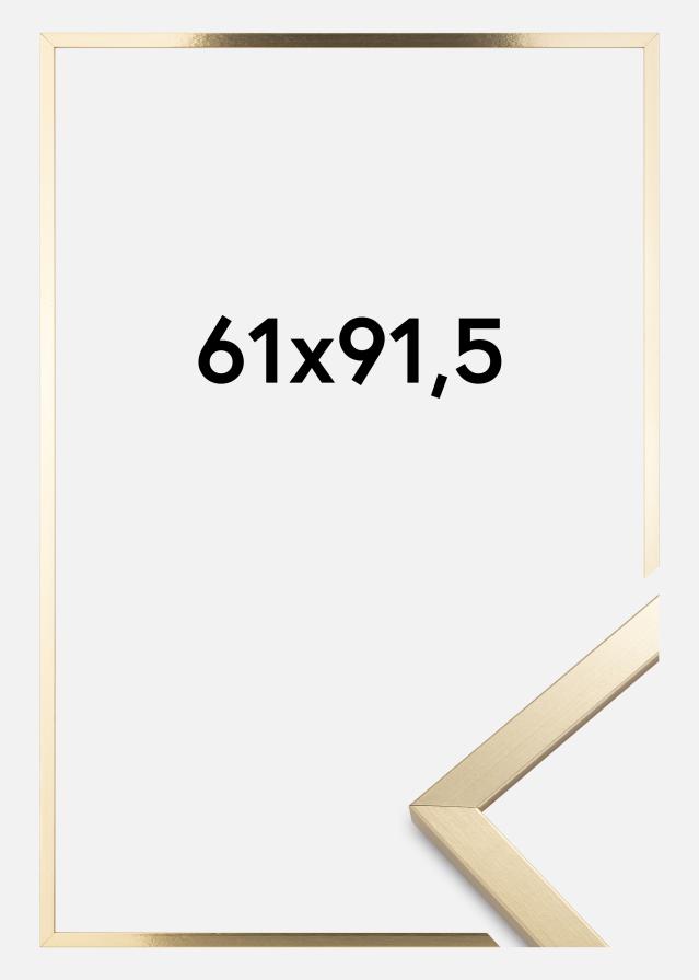 Rám Trendy Akrylové sklo Zlatá 61x91,5 cm