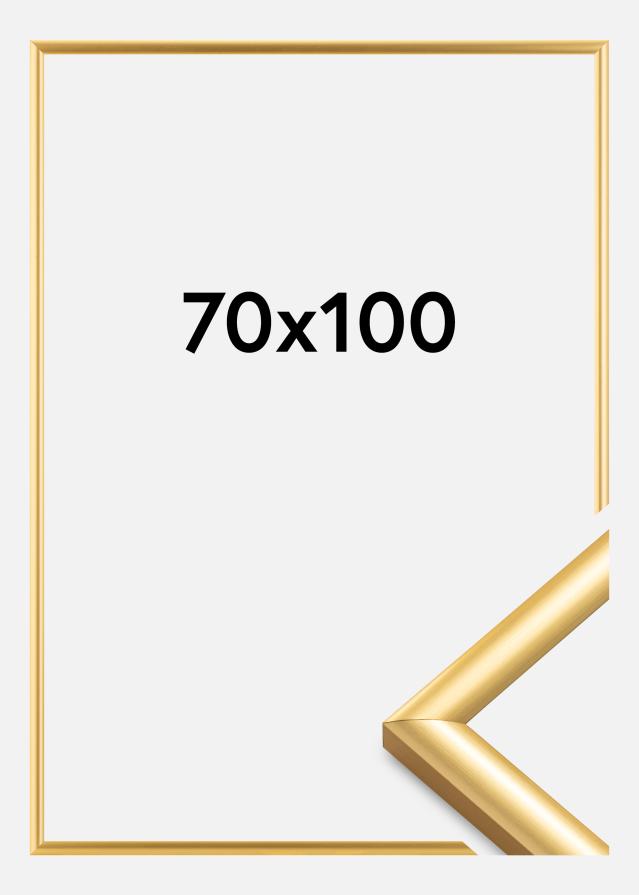 Rám Trendstyle Zlatá 70x100 cm