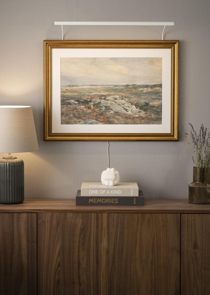 BLP 117 osvetlení obrazu 65 cm - Bílá