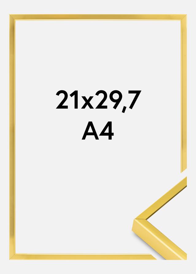 Hliníkový rám Akrylové sklo Zlatá 21x29,7 cm (A4)