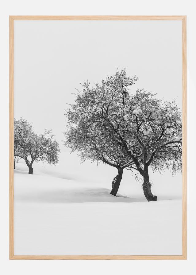 White carpet II Plakát