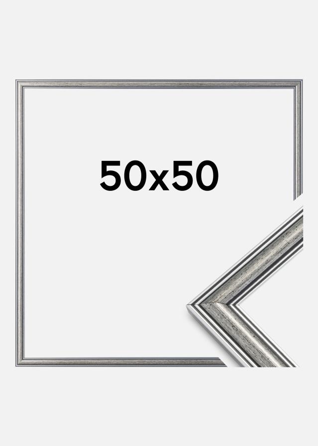 Rám Frigg Stríbrná 50x50 cm
