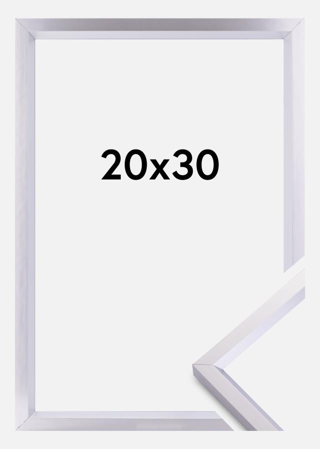 Rám Steel Style Stríbrná 20x30 cm