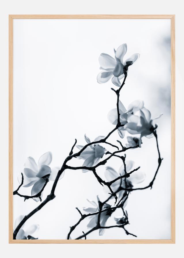 The White Queen Plakát