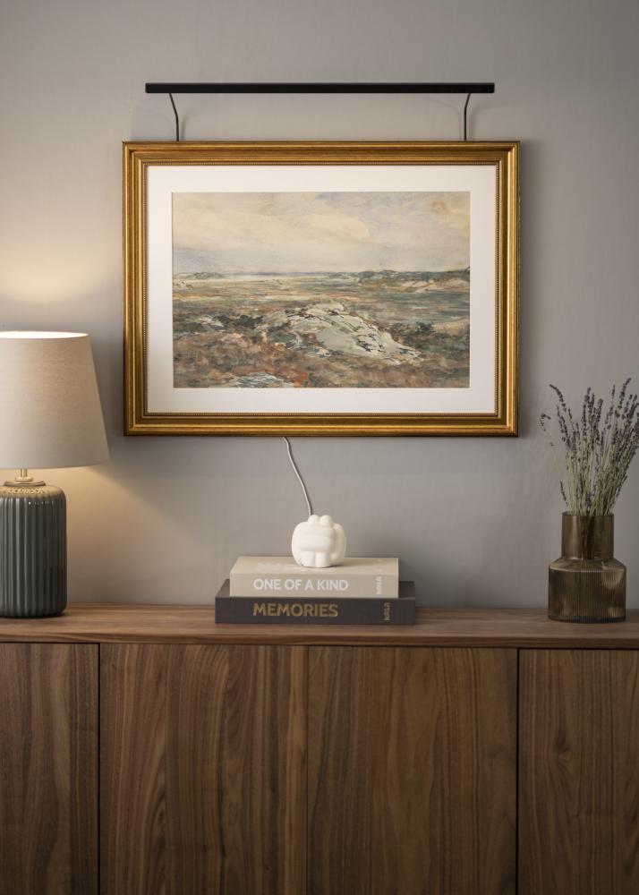 BLP 117 osvetlení obrazu 65 cm - Cerná