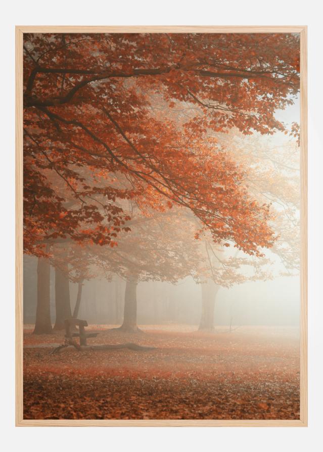 The Wonders Of Nature Plakát