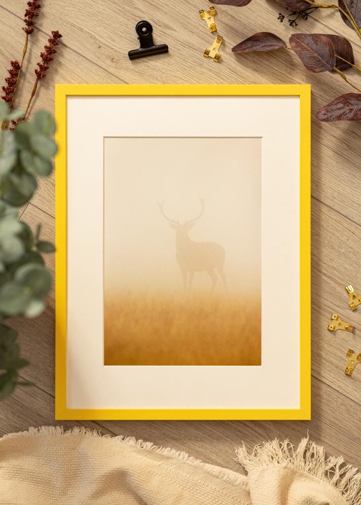 Colorful Akrylové sklo Žlutá 50x70 cm