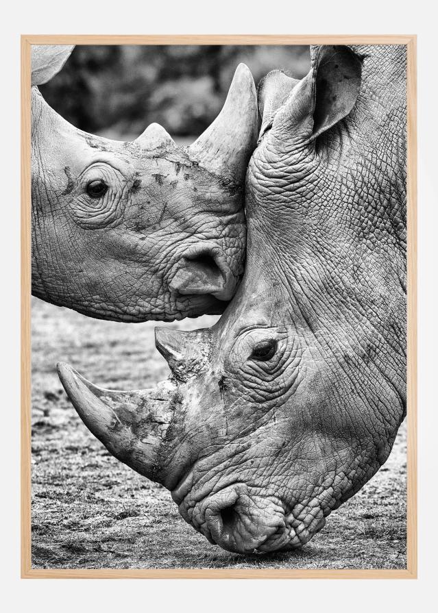 Face To Face Plakát