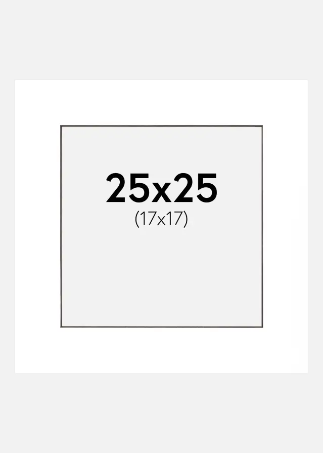 Pasparta Bílá Cerný stred 25x25 cm (17x17 cm)