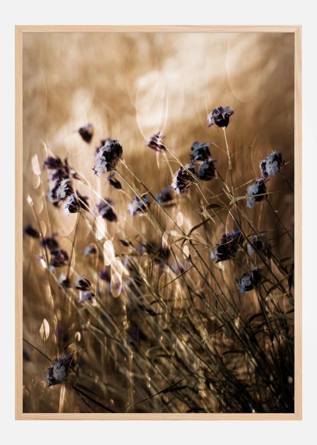 To Be Free In Light Plakát