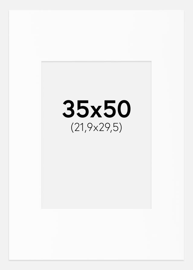 Pasparta Bílá Standardní Bílý stred 35x50 cm (21,86x29,48)