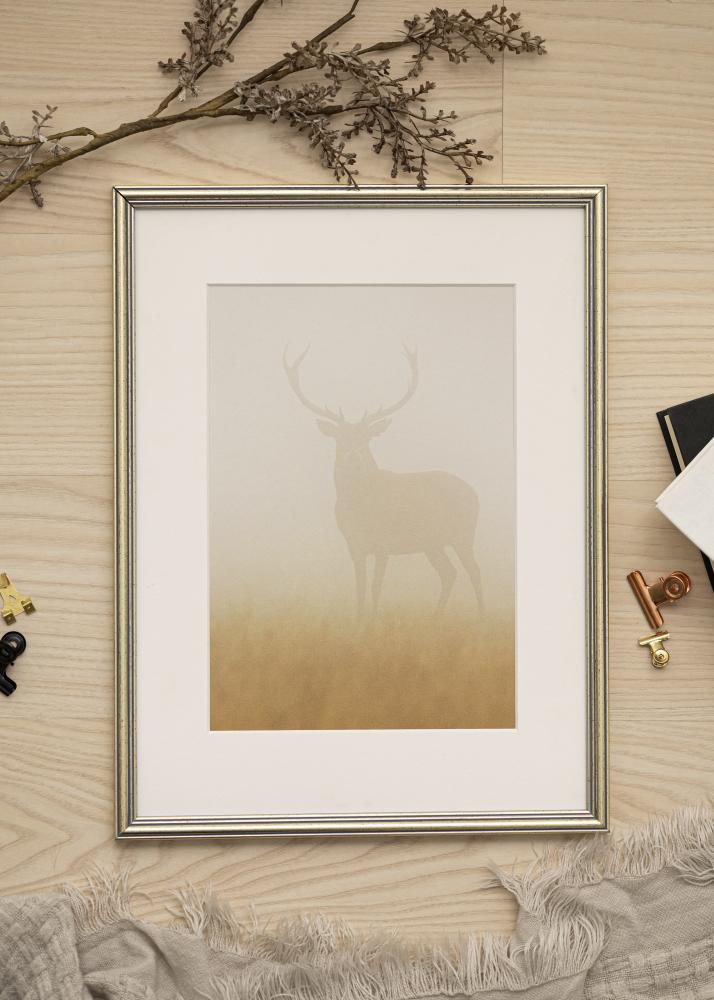 Rám Classic Stríbrná 21x29,7 cm (A4)