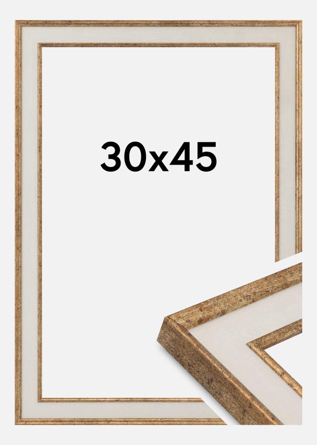Rám Dolly Akrylové sklo Zlatá 30x45 cm