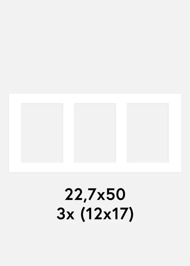 Pasparta Bílá 22,7x50 cm - Koláž 3 Obrazy (12x17 cm)