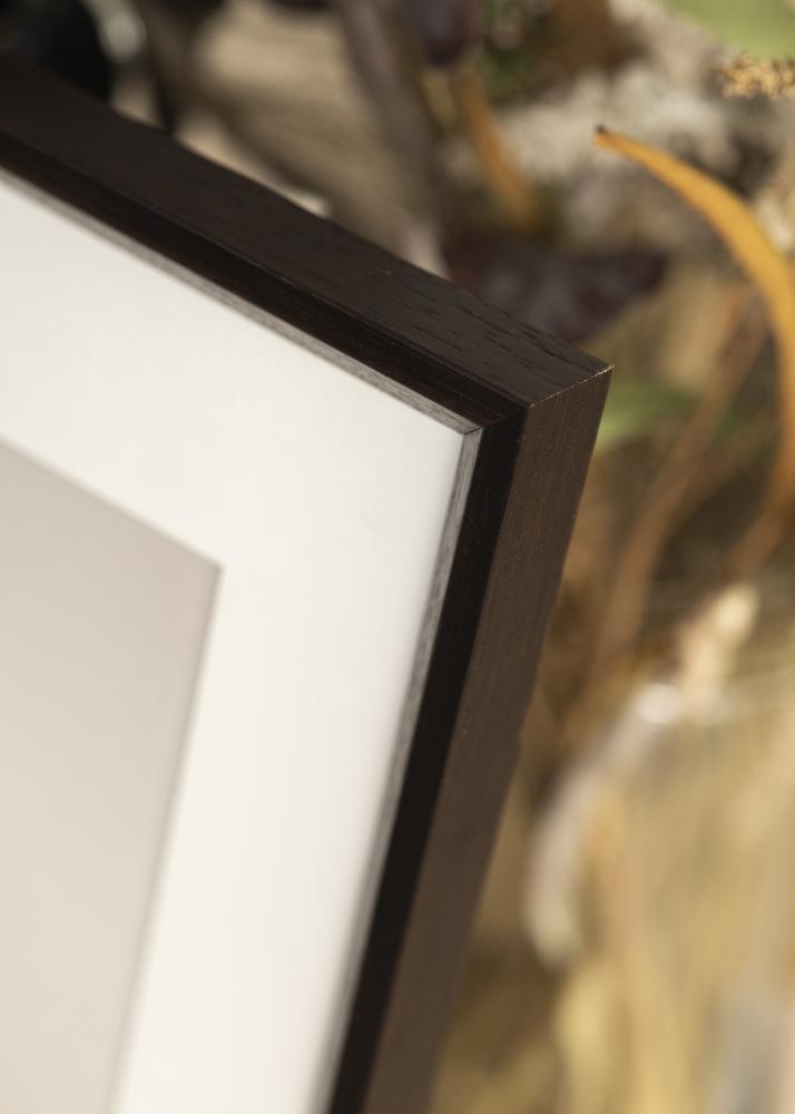 Rám Globe Akrylové sklo Espresso 29,7x42 cm (A3)