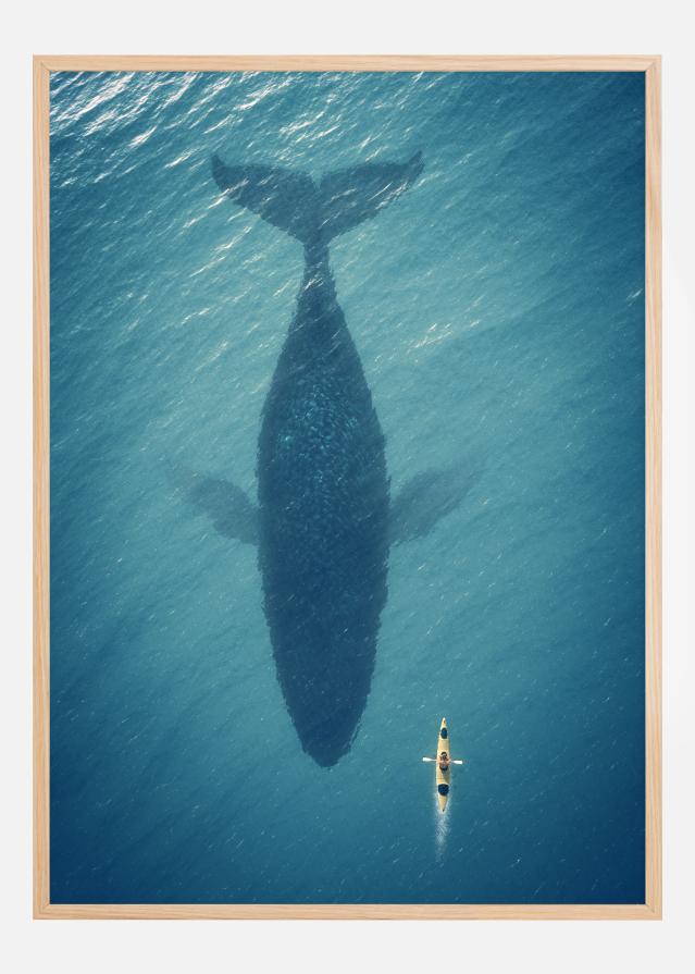A Big Whale Plakát