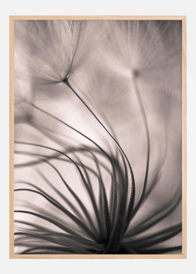 Faded Blurry Flower Plakát