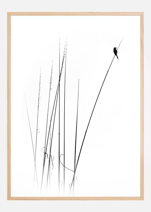 A sabbatical Plakát