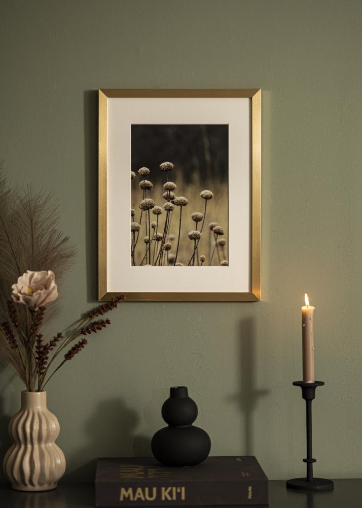 Rám Selection Akrylové sklo Zlatá 30x40 cm