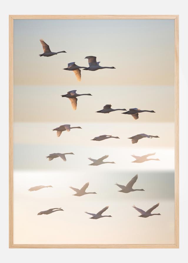 Past The Sun Plakát