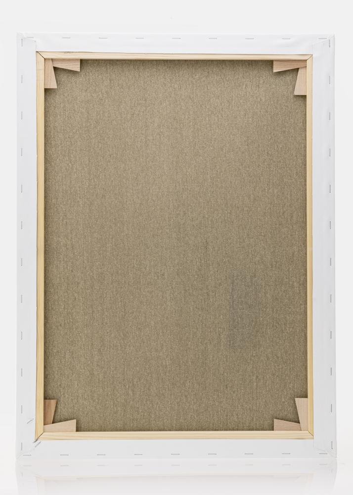 Malírské plátno Premium Bílá 60x80 cm