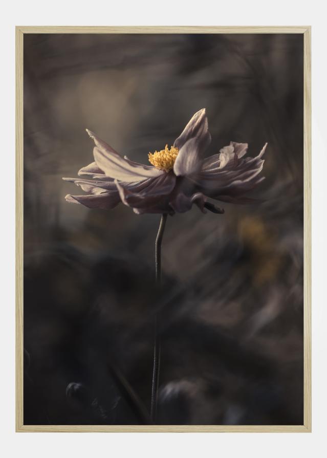 Japanese style Plakát