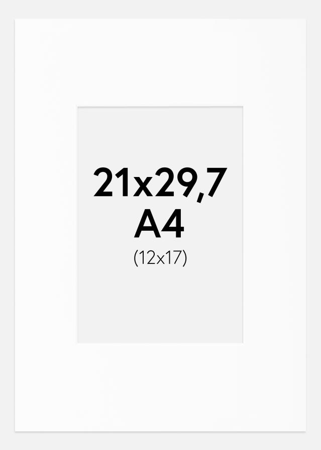 Pasparta Bílá Standardní Bílý stred A4 21x29,7 cm (12x17)