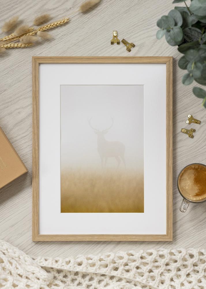 Rám Vemdalen Akrylové sklo Dub 40x81 cm