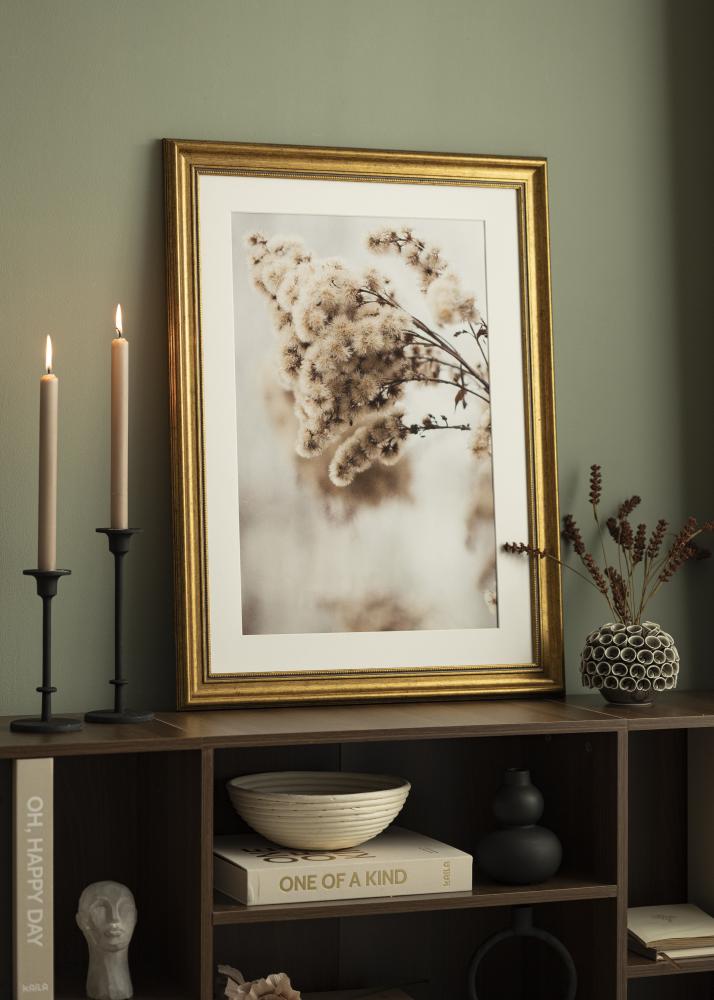 Rám Rokoko Akrylové sklo Zlatá 40x60 cm