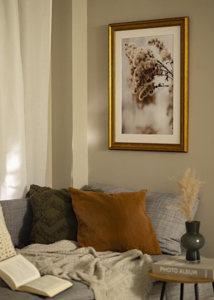 Rám Rokoko Akrylové sklo Zlatá 40x60 cm