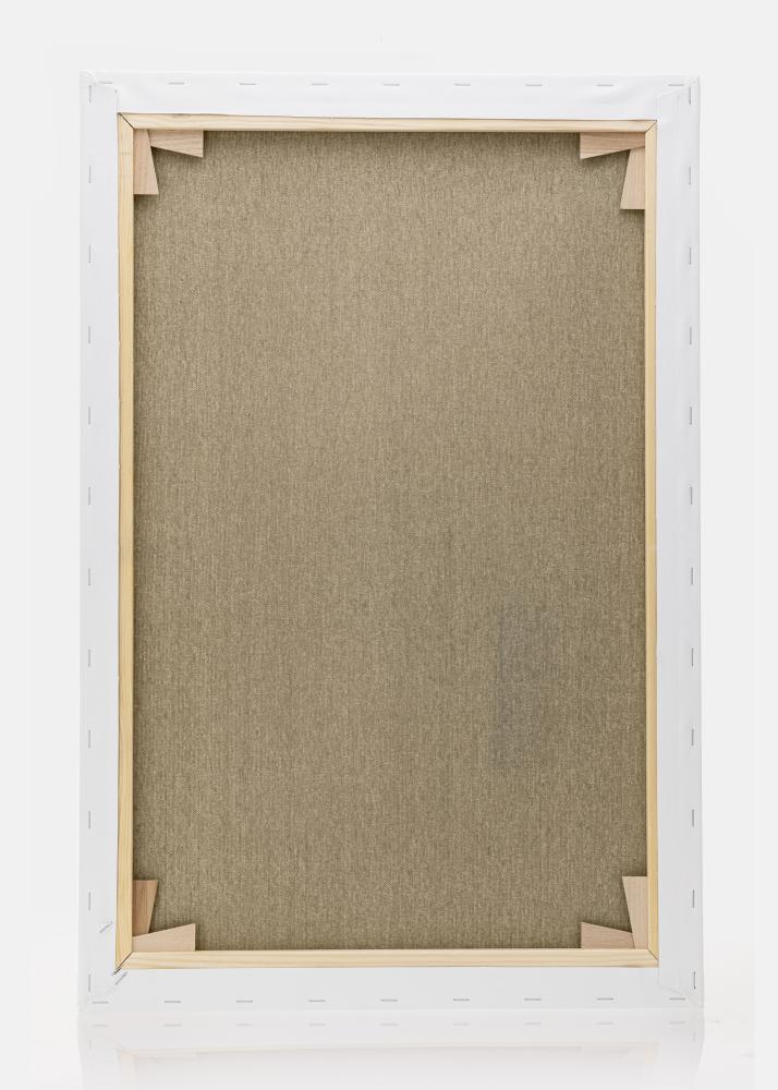 Malírské plátno Premium Bílá 80x120 cm