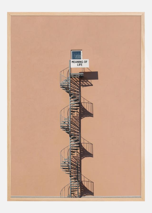 Meaning of life Plakát