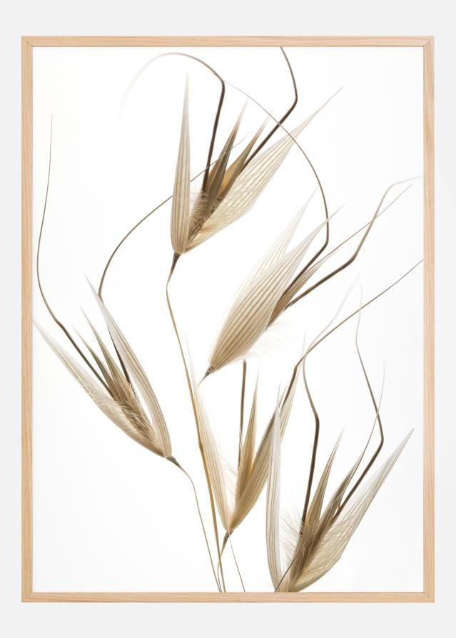 Delicacy of nature Plakát