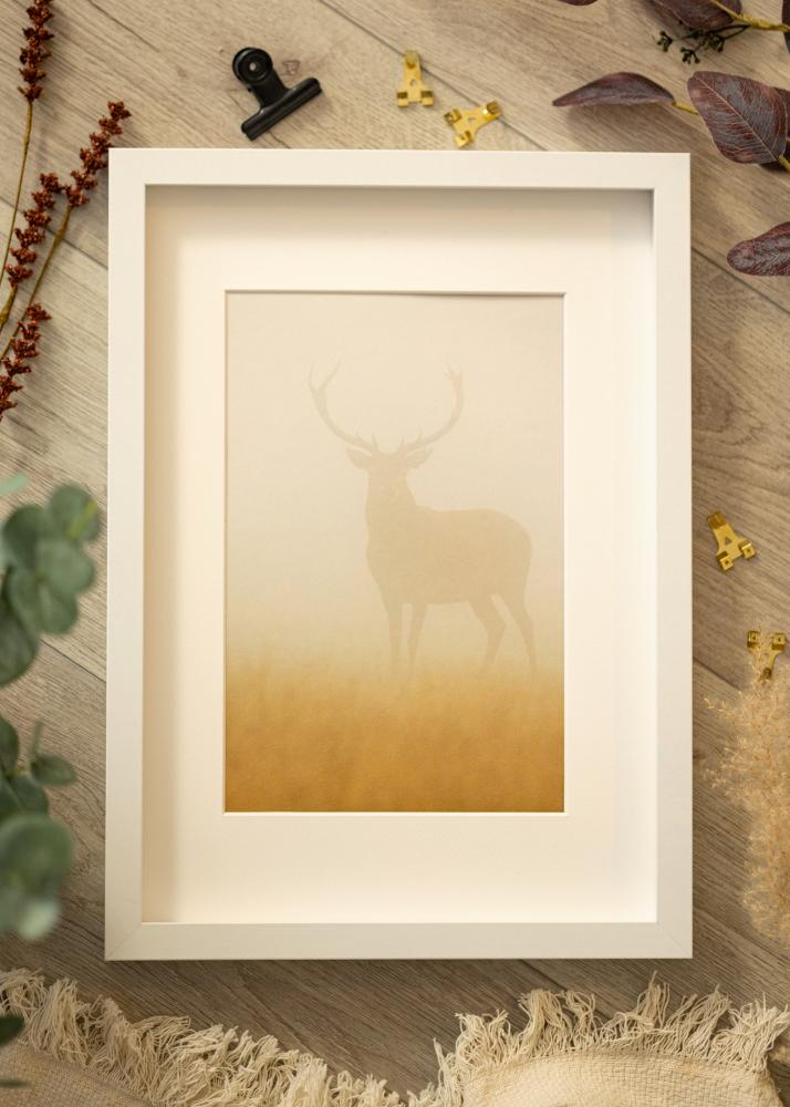 BGA Box rám Akrylové sklo Bílá 21x29,7 cm (A4)